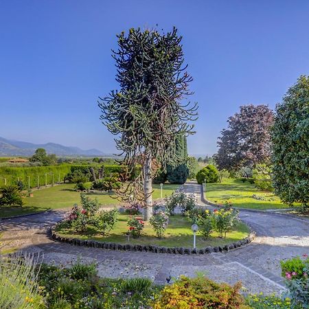 Villa Luce-Casa Vacanza Con Vista Panoramica Mare. Веллетри Экстерьер фото